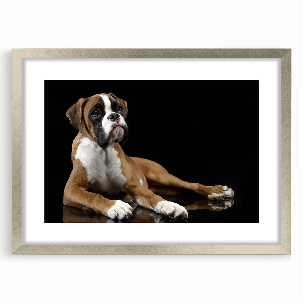 Framed wall art featuring a stylish boxer dog design in a silver frame with a mat, enhancing home decor with a modern touch for dog lovers.
