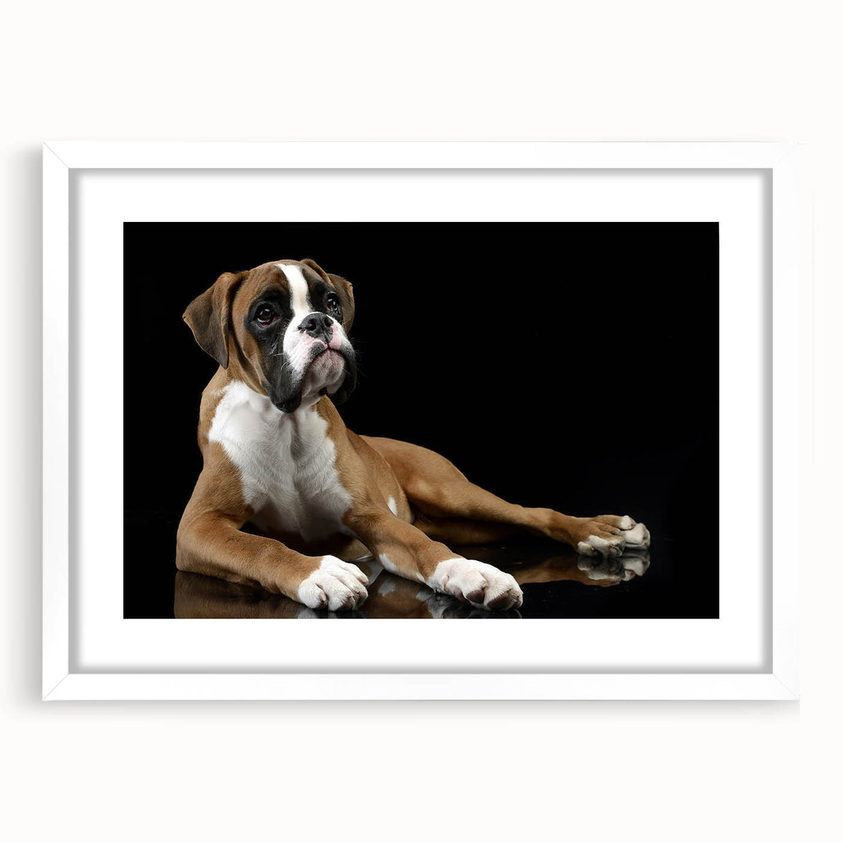 Framed wall art featuring a vibrant boxer dog design, set against a white mat, perfect for pet lovers and home decor enthusiasts. Ideal for living rooms or offices.