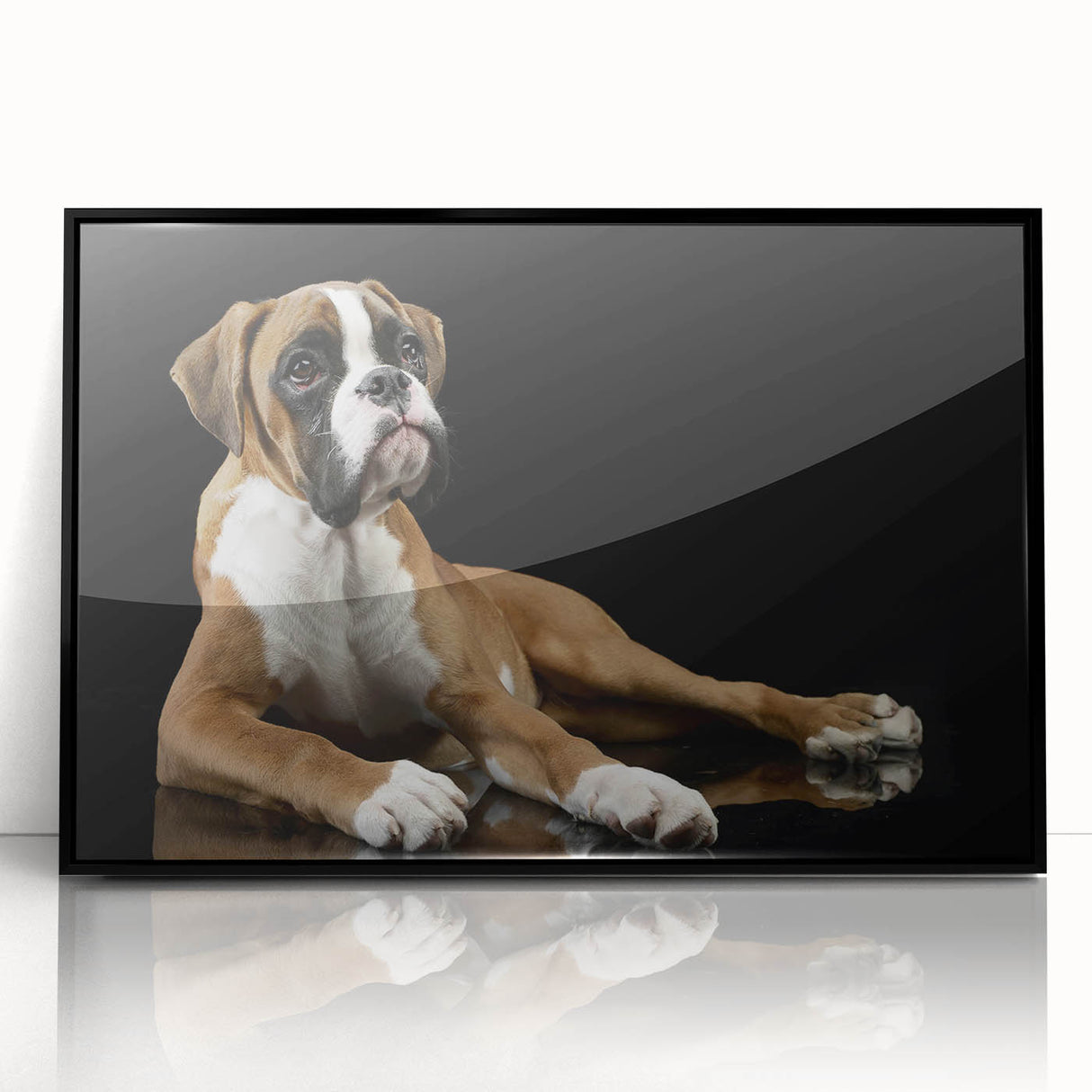 Framed wall art featuring a striking black and white illustration of a boxer dog, showcasing intricate details and bold lines, perfect for modern pet lovers’ decor.