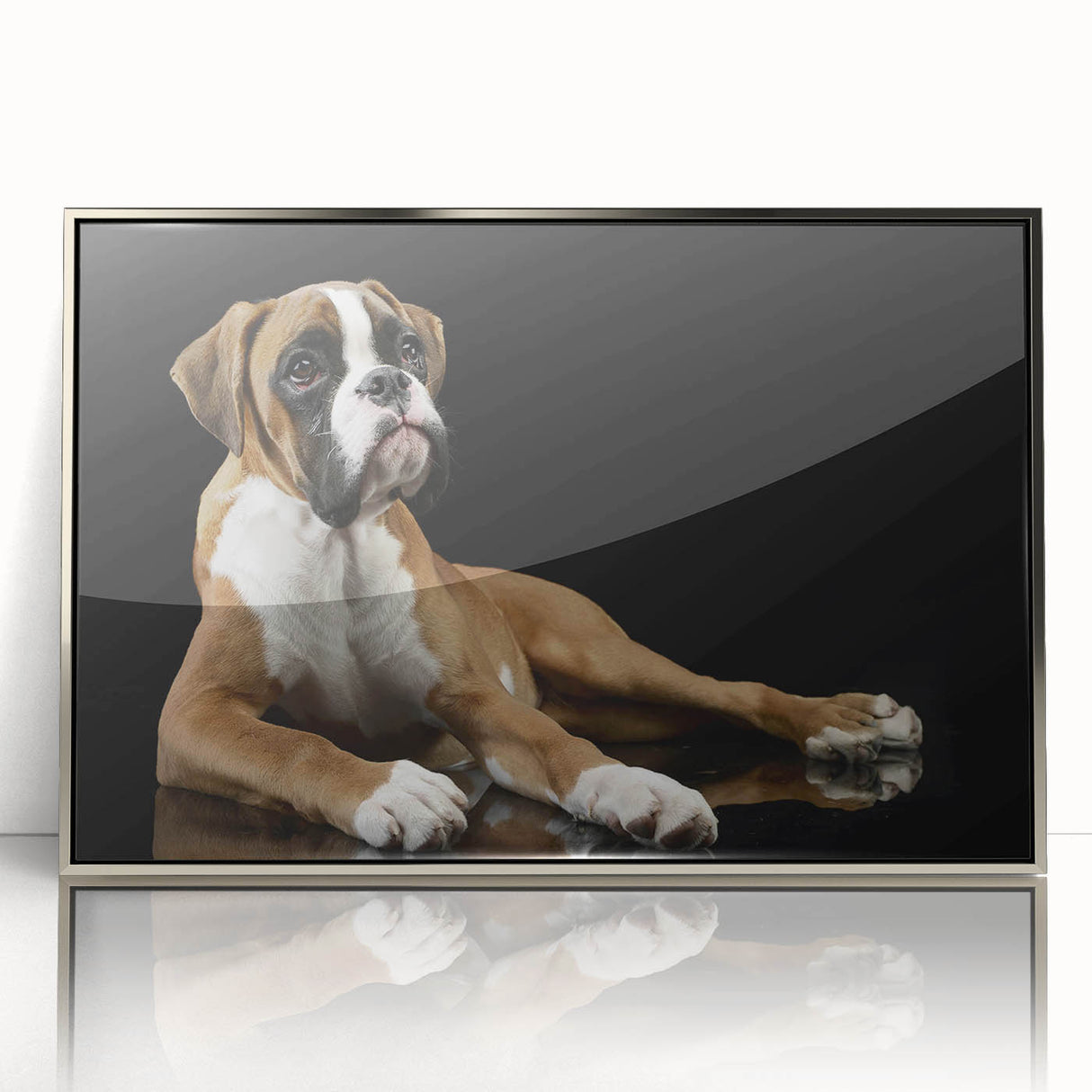 Stylish framed wall art featuring a boxer dog design in a silver acrylic frame, showcasing vibrant colors and intricate details, perfect for dog lovers' decor.