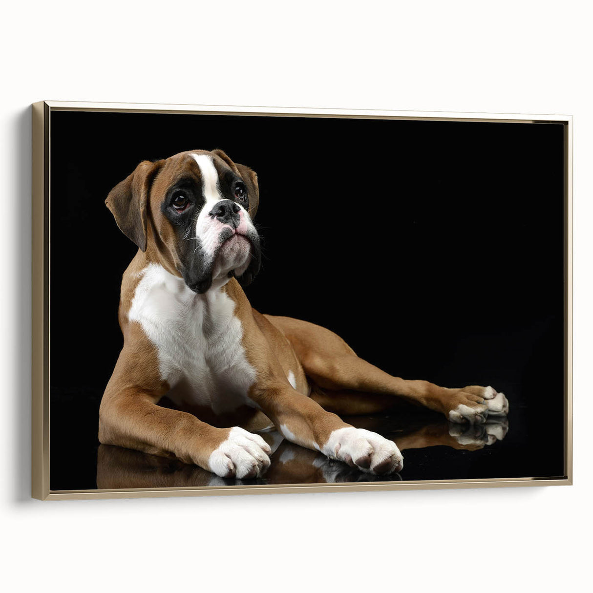 Framed wall art featuring a stylish boxer dog design, with a gold frame and a side view display, perfect for pet lovers’ home decor.