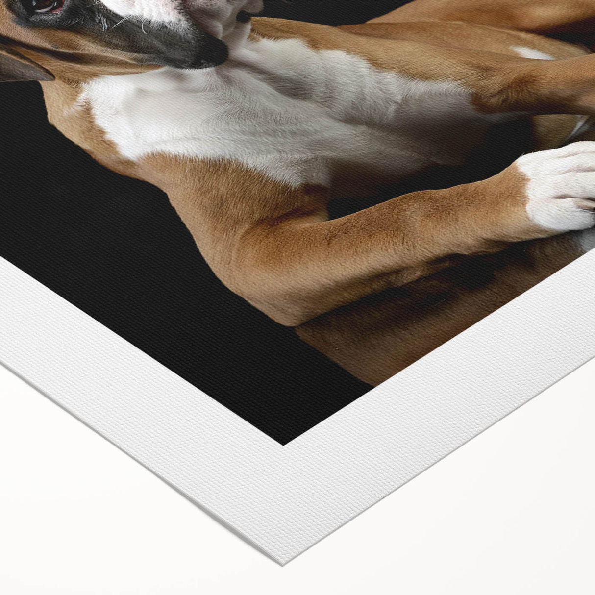 Rolled canvas wall art featuring a striking design of a playful Boxer dog, showcasing vibrant colors and intricate details, perfect for pet lovers' home decor.