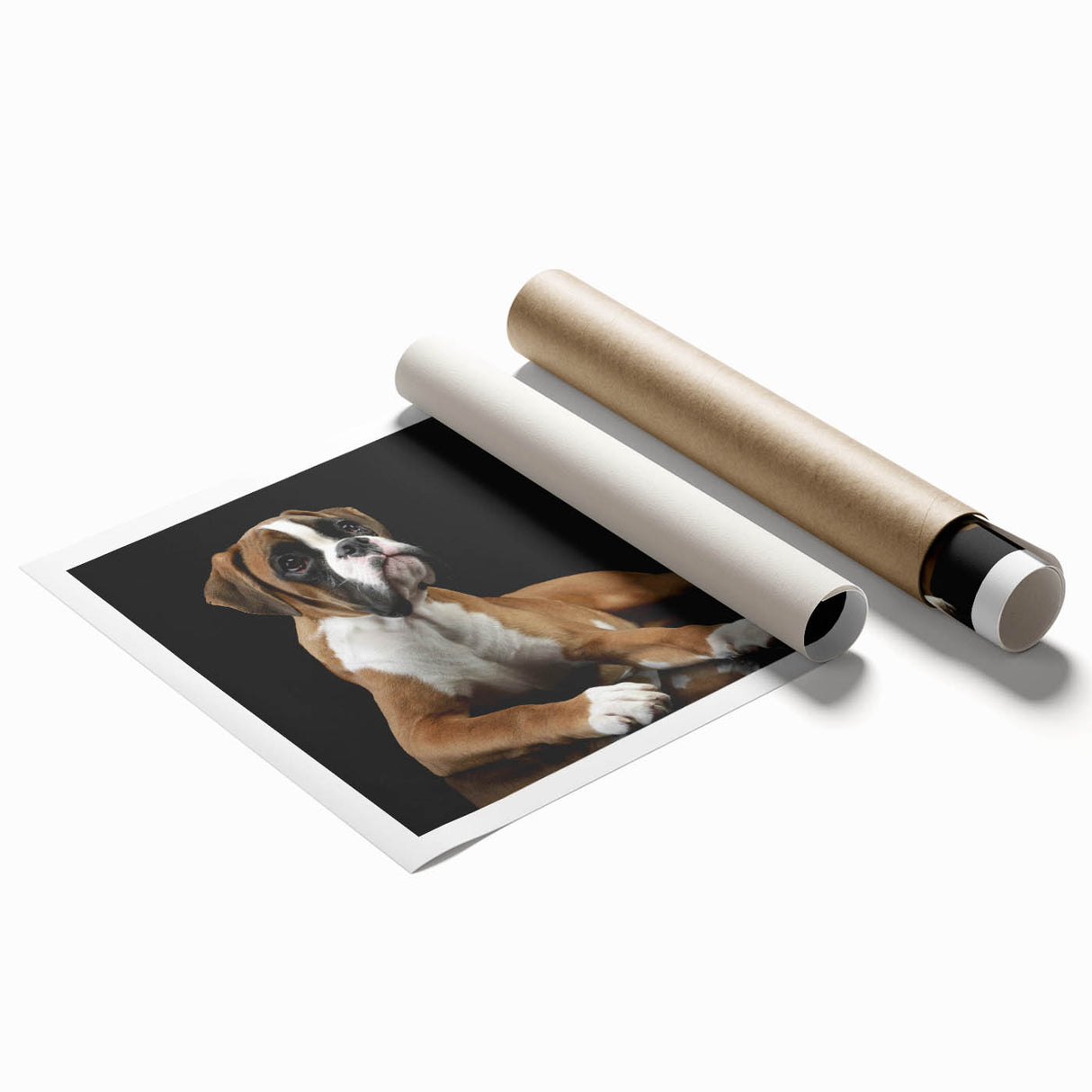 Boxer dog wall art design showcasing a vibrant, colorful illustration of a playful boxer in a lively setting, perfect for pet lovers' home decor.