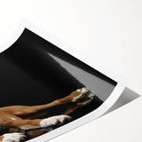 Boxer dog art print showcasing a vibrant and detailed illustration of a playful boxer in a natural setting, ideal for pet lovers and home decor enthusiasts.