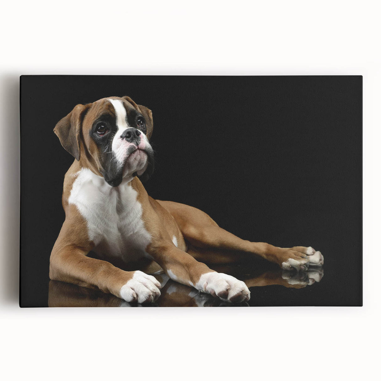 Boxer dog wall art design on stretched canvas showcasing a vibrant, detailed illustration of a playful boxer in a lively outdoor setting, perfect for dog lovers' decor.