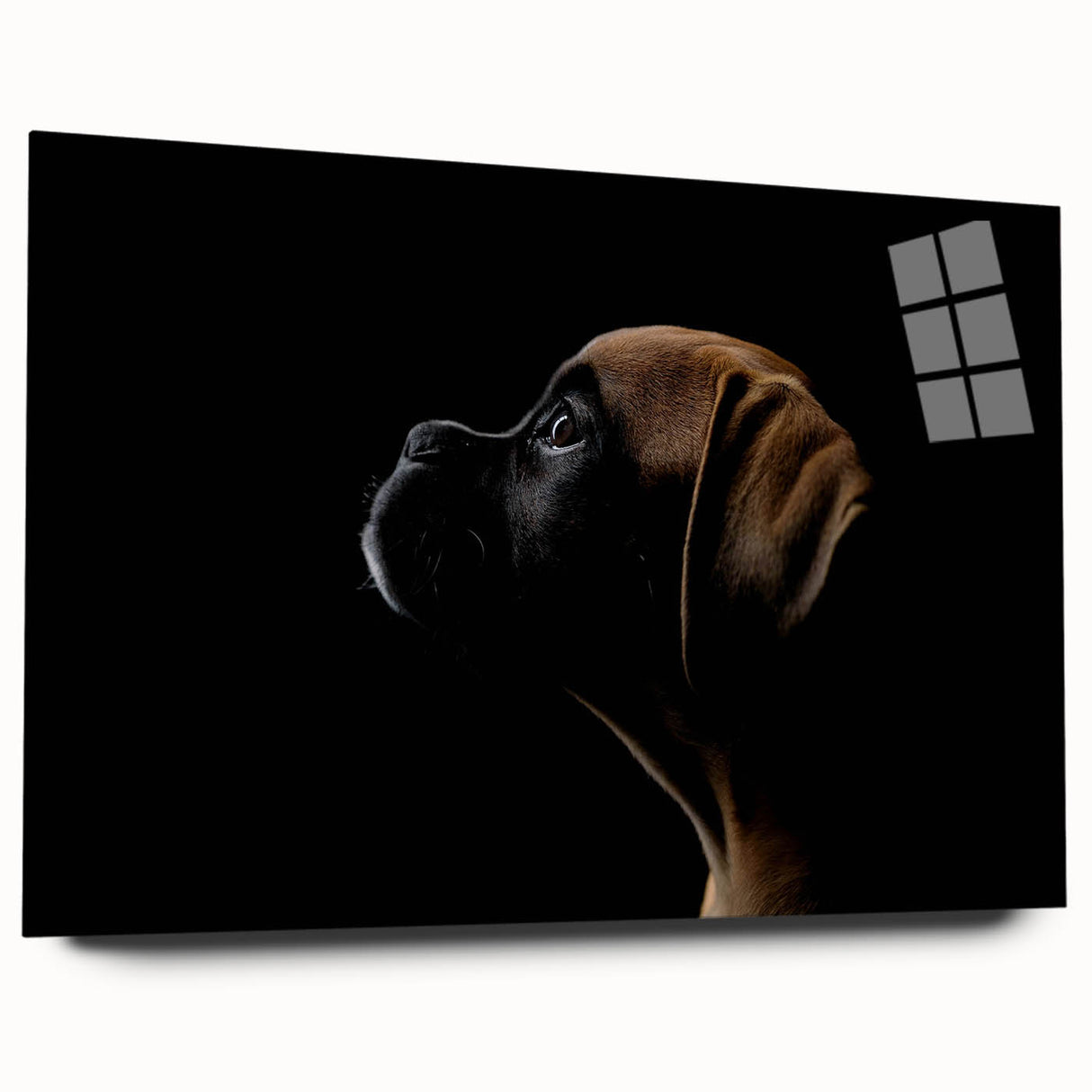 Acrylic glass wall art featuring a side view of a stylish boxer dog design in vibrant colors, ideal for dog lovers' home decor. Perfect addition to any modern living space.