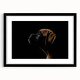 Black-framed wall art print featuring an elegant design of a boxer dog, showcasing its expressive eyes and playful stance, perfect for pet lovers and home decor.