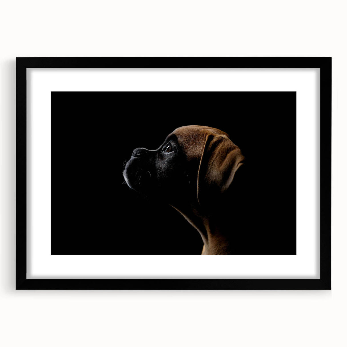 Black-framed wall art print featuring an elegant design of a boxer dog, showcasing its expressive eyes and playful stance, perfect for pet lovers and home decor.
