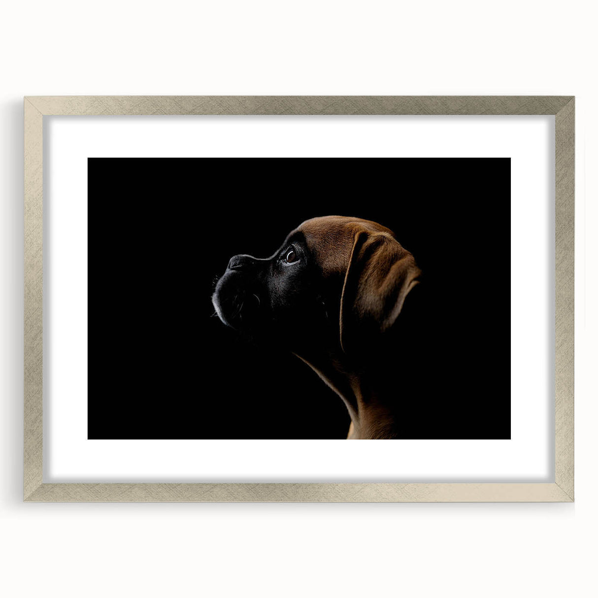 Framed wall art featuring a silver mat, showcasing a stylish design of a Boxer dog, perfect for pet lovers and home decor enthusiasts. Ideal for enhancing interior aesthetics.