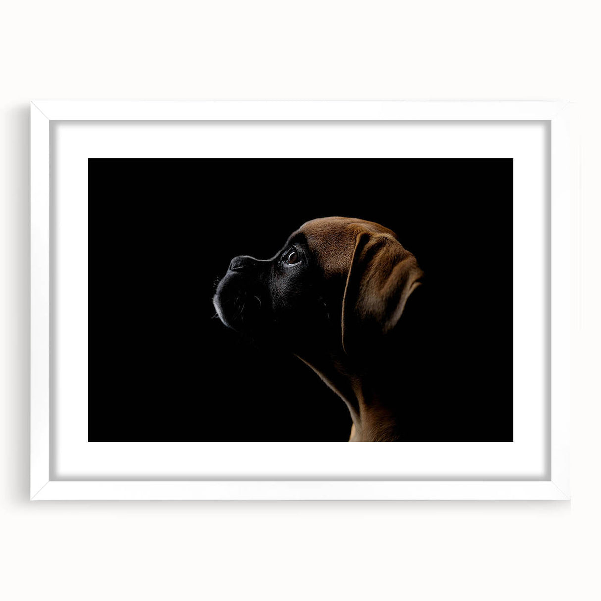 Boxer dog wall art collection framed with a white mat, showcasing a vibrant design of a playful boxer dog in a modern style, perfect for dog lovers and home decor.