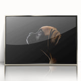 Framed wall art showcasing a striking boxer dog design in silver acrylic, highlighting the dog's expressive features against a modern background, perfect for pet lovers.