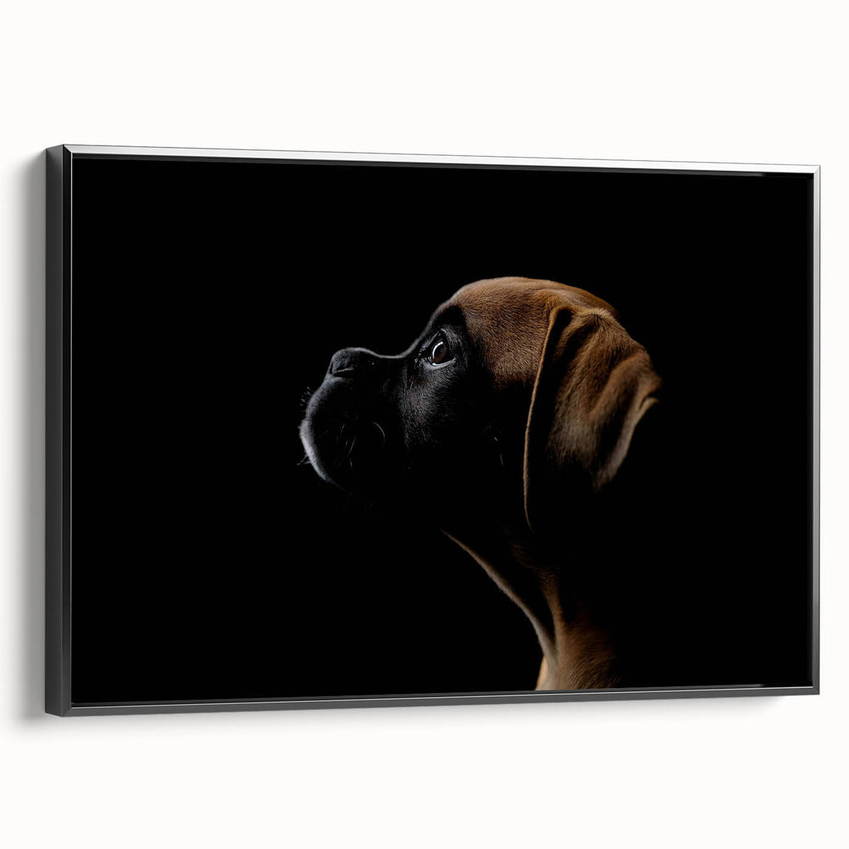Framed wall art showcasing a stylish black and white boxer dog design, emphasizing the dog's playful expression and sleek fur, perfect for pet lovers' decor.