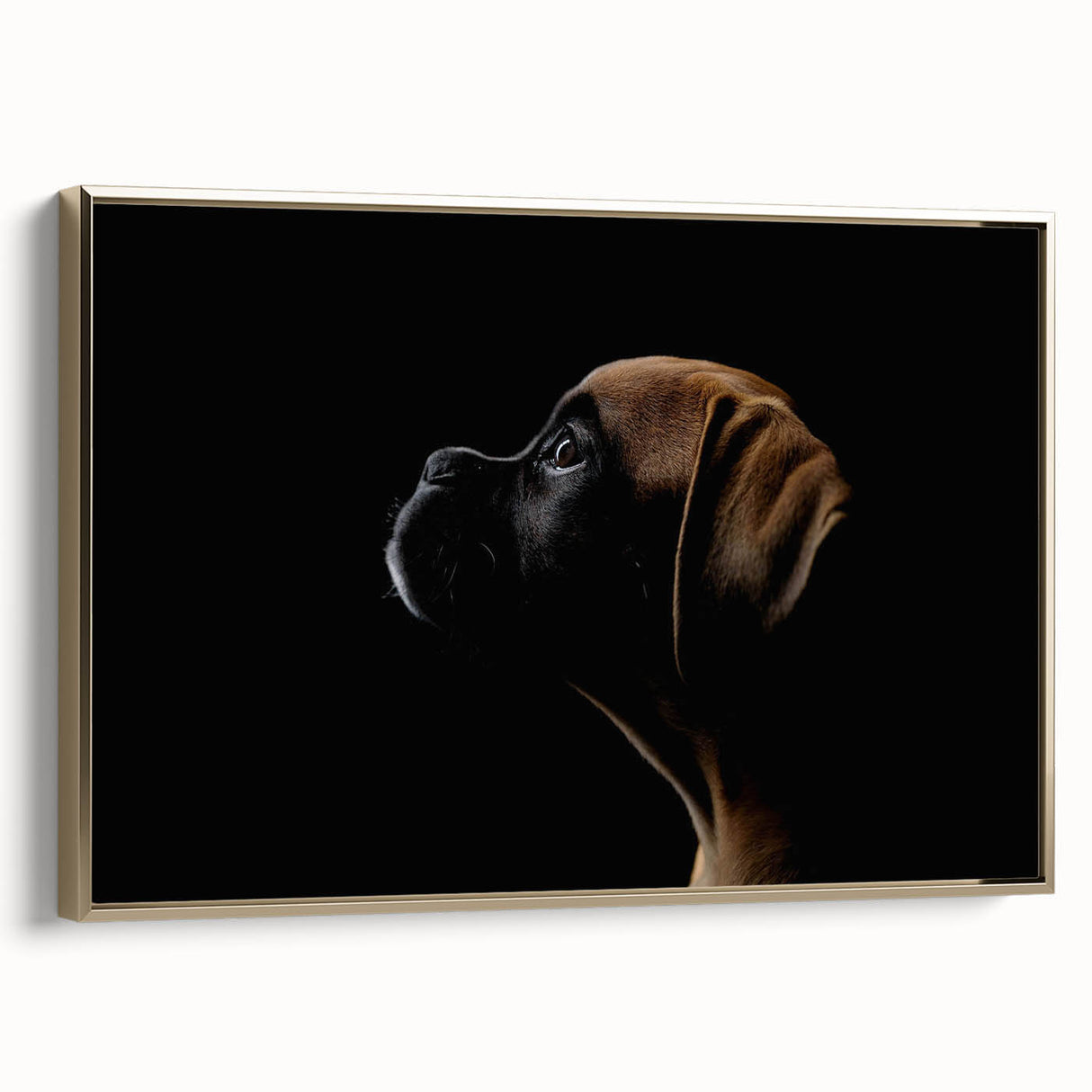 Framed canvas wall art featuring a stylish boxer dog design in gold tones, displayed from the side to showcase its elegant frame and artistic details.