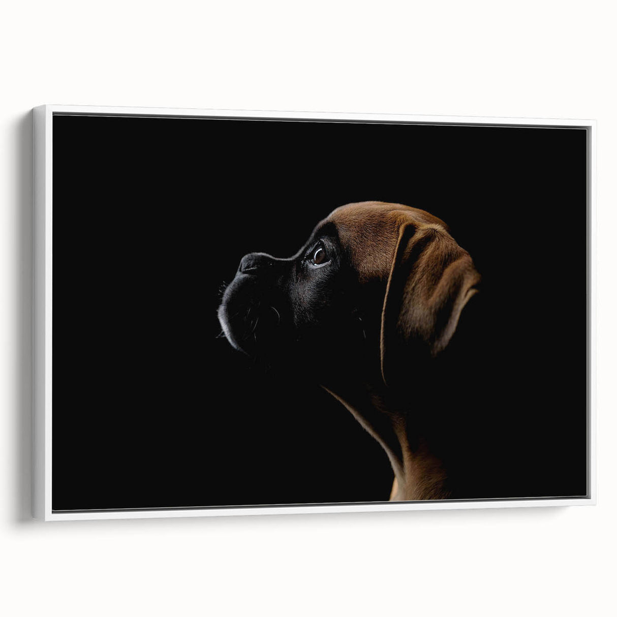 Framed canvas wall art of a boxer dog design in a modern white frame, showcasing detailed fur texture and vibrant colors, ideal for dog lovers' home decor.