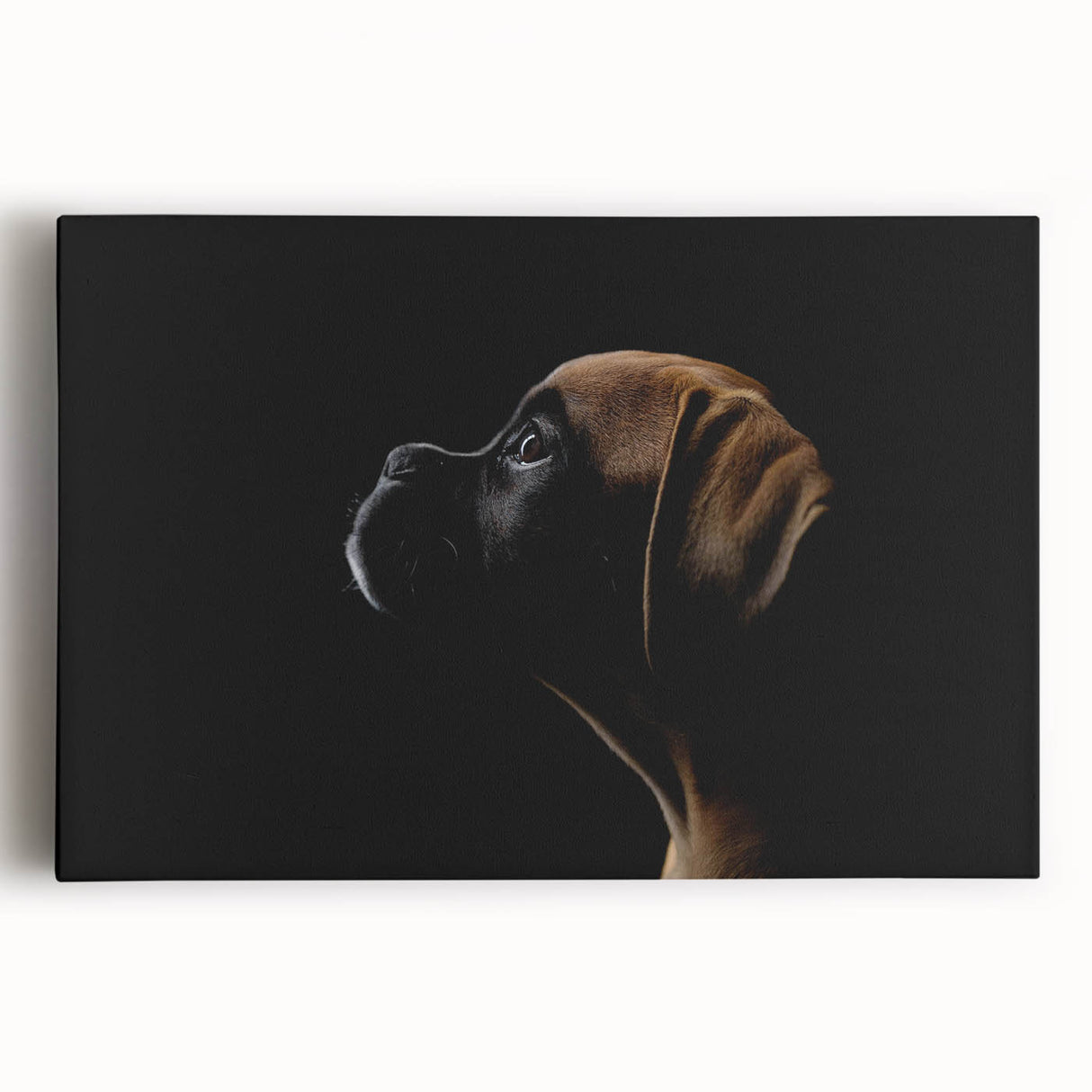 Stretched canvas wall art featuring a vibrant Boxer dog design, showcasing colorful details and textures, perfect for enhancing home decor in pet-themed spaces.