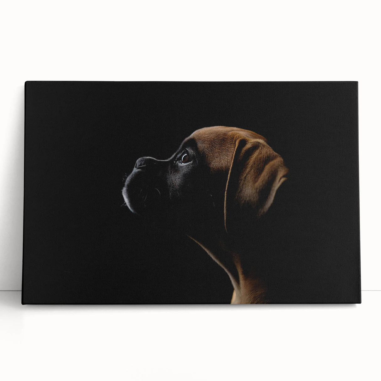Boxer dog wall art design on stretched canvas, showcasing vibrant colors and playful expression, perfect for dog lovers' home decor.