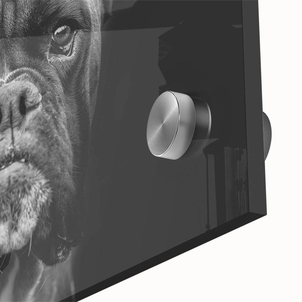 Close-up of a vibrant acrylic glass wall art collection featuring a detailed boxer dog design, showcasing rich colors and textures, ideal for pet lovers' decor.