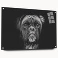 Close-up of a vibrant acrylic glass wall art collection showcasing a boxer dog design, featuring a side view with visible mounting pins for easy display. This contemporary decor piece adds a playful touch to any pet lover's home.