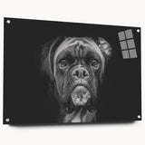 Close-up of a vibrant acrylic glass wall art collection showcasing a boxer dog design, featuring a side view with visible mounting pins for easy display. This contemporary decor piece adds a playful touch to any pet lover's home.