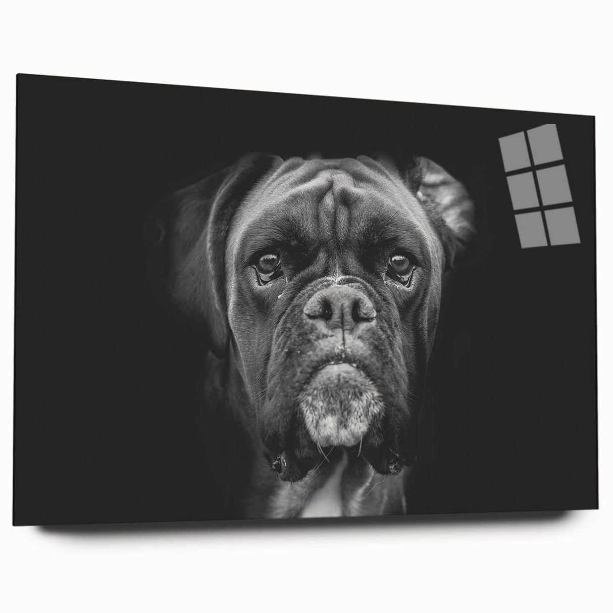 Acrylic wall art showcasing a stylish side view of a Boxer dog design, featuring vibrant colors and modern aesthetics, perfect for dog lovers’ decor.