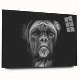 Acrylic wall art showcasing a stylish side view of a Boxer dog design, featuring vibrant colors and modern aesthetics, perfect for dog lovers’ decor.