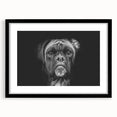 Framed wall art showcasing a detailed black and white illustration of a boxer dog, featuring a sleek black frame and matting, perfect for pet lovers' home decor.
