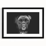 Framed wall art showcasing a detailed black and white illustration of a boxer dog, featuring a sleek black frame and matting, perfect for pet lovers' home decor.