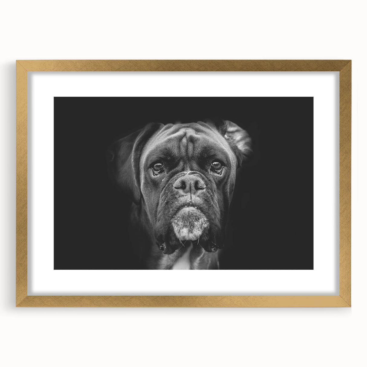 Framed wall art featuring a striking Boxer dog design with a gold mat, showcasing vibrant colors and intricate details, perfect for dog lovers' home decor.