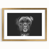 Framed wall art featuring a striking Boxer dog design with a gold mat, showcasing vibrant colors and intricate details, perfect for dog lovers' home decor.
