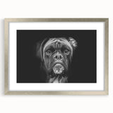 Framed wall art collection featuring a stylish silver mat design showcasing a boxer dog, perfect for dog lovers and home decor enthusiasts.