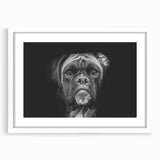Boxer dog wall art collection framed in white with a mat, displaying a playful and vibrant design, perfect for pet lovers and home decor enthusiasts.