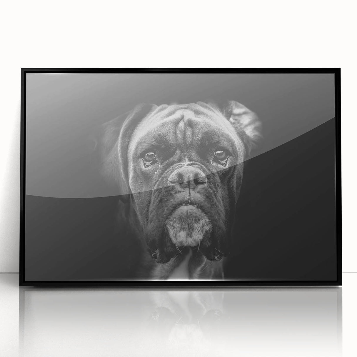 Framed wall art featuring a stylish black acrylic design of a Boxer dog, showcasing its sleek silhouette and modern aesthetic, perfect for dog lovers' decor.