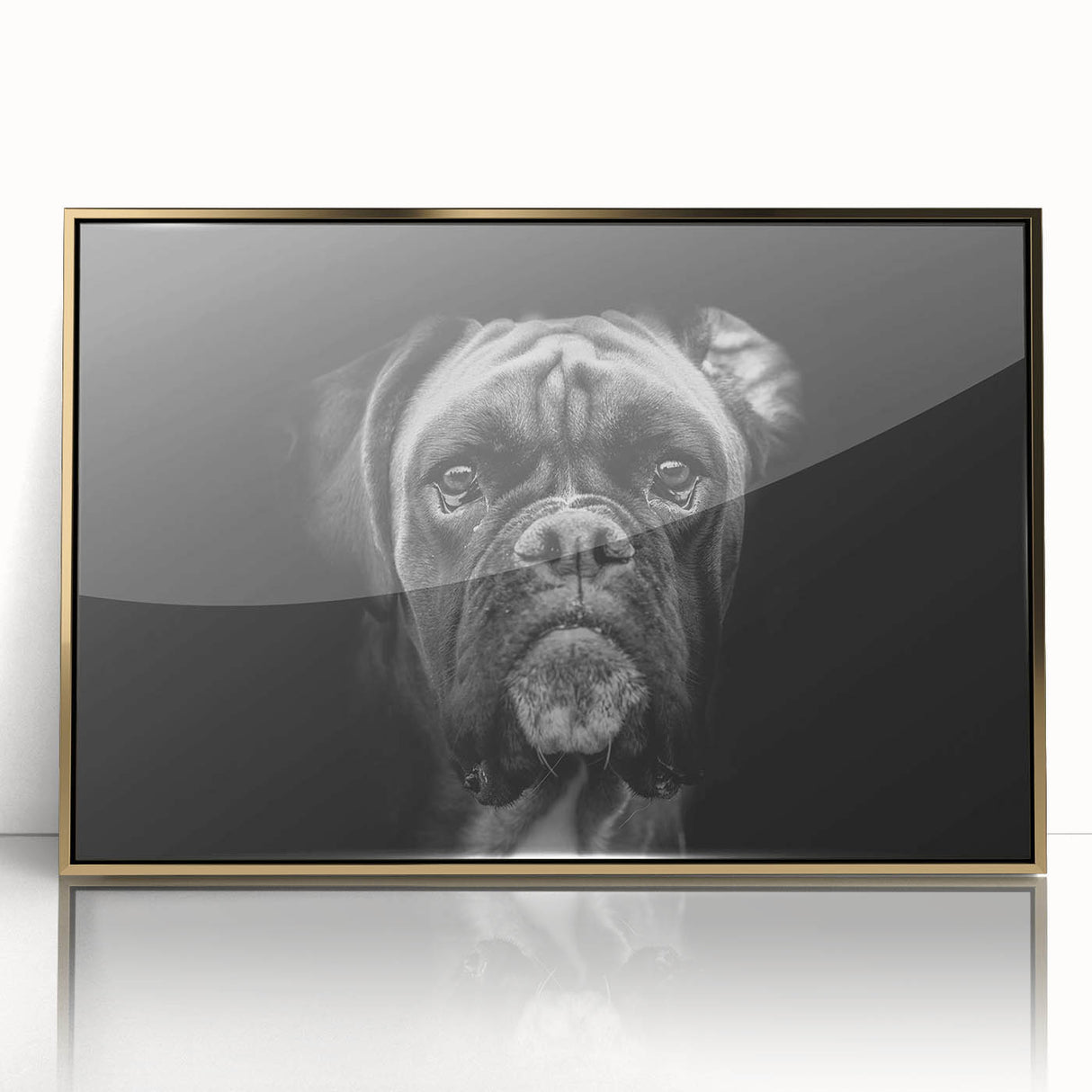 Framed wall art featuring a striking boxer dog design in gold and black acrylic, showcasing the dog's expressive features and vibrant colors, perfect for pet lovers.