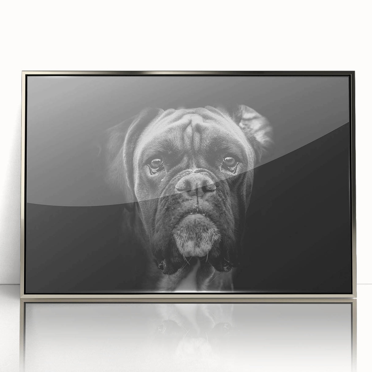 Framed wall art featuring a stylish boxer dog design in silver acrylic, showcasing a modern aesthetic perfect for dog lovers and home decor.