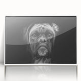Framed wall art featuring a sleek design of a boxer dog in a contemporary style, showcasing vibrant colors on a white background. Perfect for dog lovers' home decor.