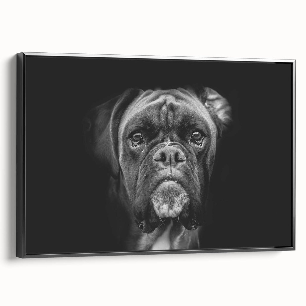 Boxer dog wall art collection displayed in a black-framed canvas, showcasing a side view of the vibrant design, perfect for pet lovers' home decor.