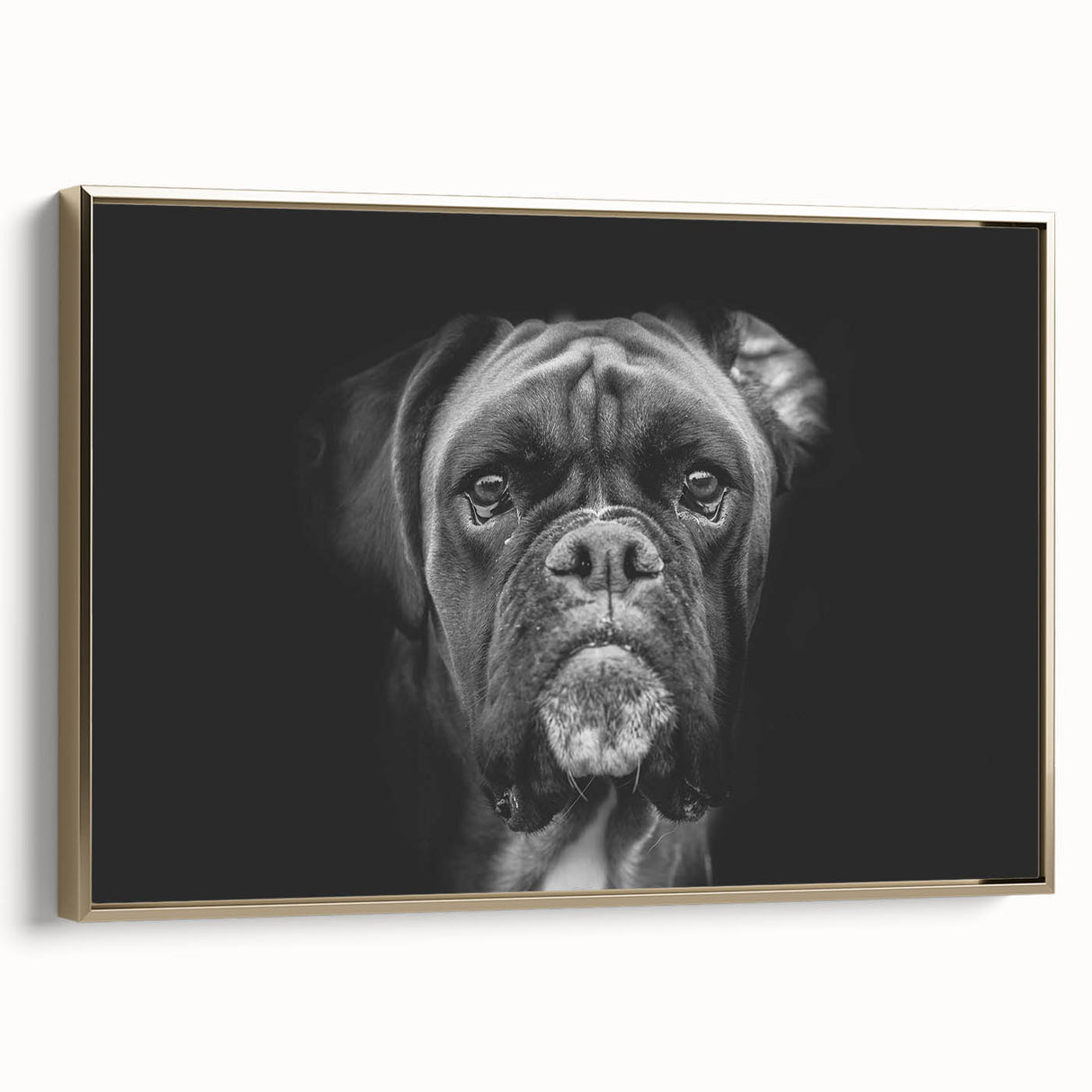 Framed wall art featuring a stylish gold-accented design of a boxer dog, showcasing its muscular build and playful expression, perfect for dog lovers and home decor.