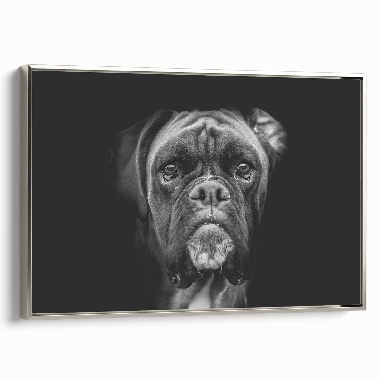 Framed wall art featuring a sleek silver design of a boxer dog in profile, showcasing intricate detailing and vibrant colors, ideal for pet lovers' decor.