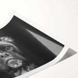 Boxer dog wall art print showcasing vibrant colors and intricate design, beautifully rolled and ready for display, perfect for dog lovers and home decor enthusiasts.