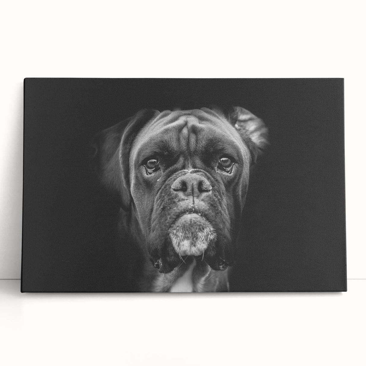 Boxer dog wall art collection featuring a vibrant, stretched canvas design with playful colors, perfect for pet lovers' home decor. Ideal for dog-themed interiors.