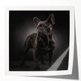 Glossy wall art print featuring a playful bulldog design, showcasing vibrant colors and detailed textures, perfect for home decor or pet lovers.