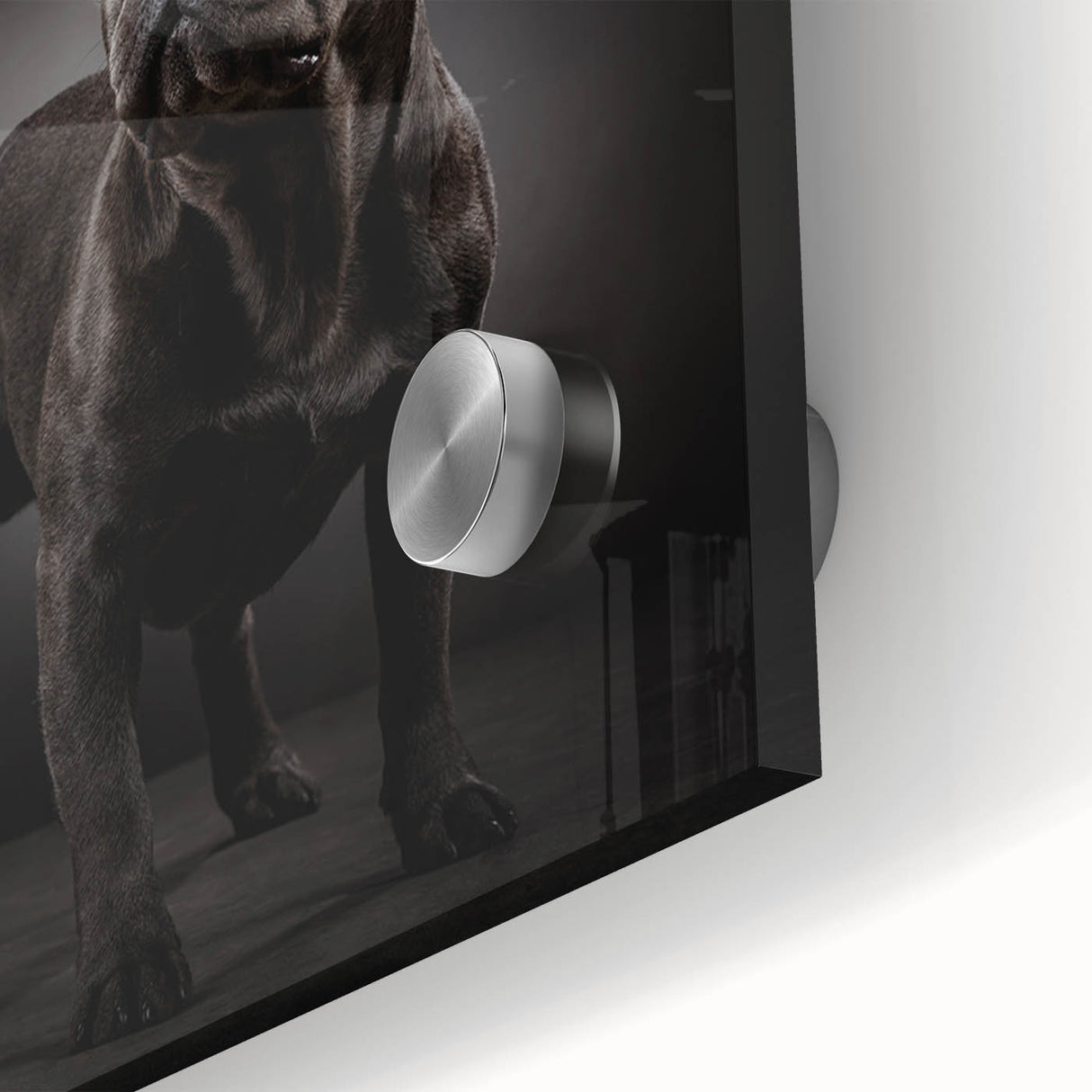 Close-up of a vibrant bulldog design wall art piece, showcasing intricate details and colors on acrylic glass, perfect for dog lovers and modern home decor.