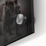 Close-up of a vibrant bulldog design wall art piece, showcasing intricate details and colors on acrylic glass, perfect for dog lovers and modern home decor.