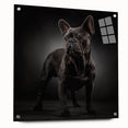 Acrylic wall art featuring a side view of a bulldog design, showcasing vibrant colors and intricate details, mounted with decorative pins for modern decor.