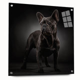 Acrylic wall art featuring a side view of a bulldog design, showcasing vibrant colors and intricate details, mounted with decorative pins for modern decor.