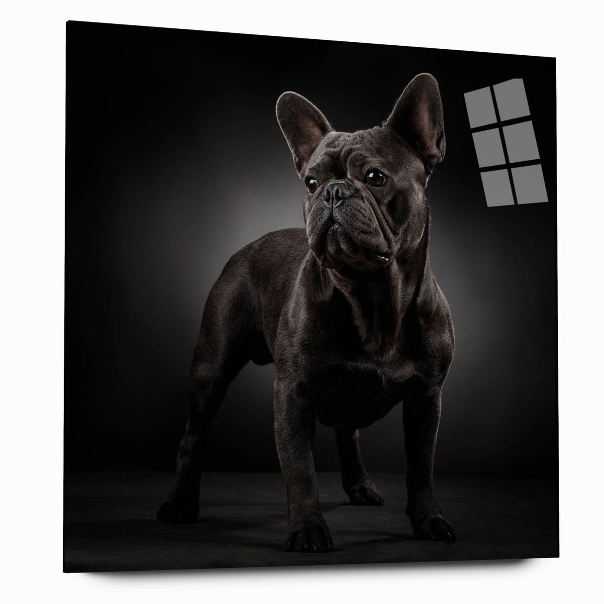 Acrylic wall art depicting a stylish bulldog design in vibrant colors, showcased from a side view, perfect for dog lovers’ home decor. Ideal for enhancing modern interiors.