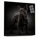 Acrylic wall art depicting a stylish bulldog design in vibrant colors, showcased from a side view, perfect for dog lovers’ home decor. Ideal for enhancing modern interiors.