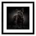 Framed wall art featuring a stylish bulldog design in black and white, set against a matte background, perfect for dog lovers and home decor enthusiasts.