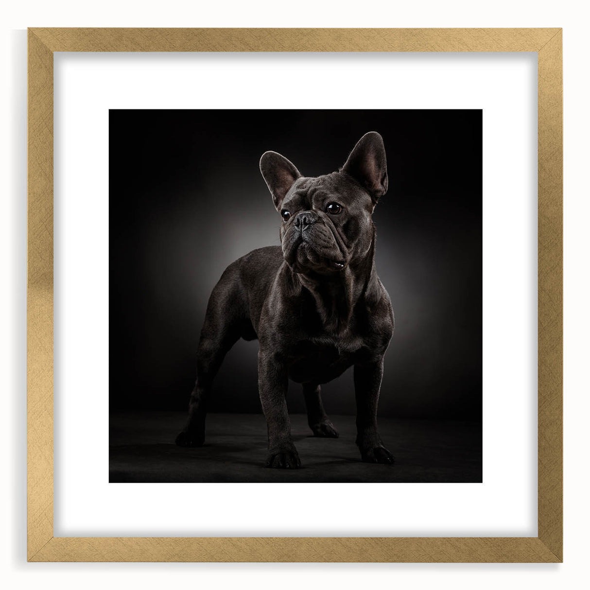 Framed wall art featuring a stylish bulldog design with a gold mat, showcasing a modern aesthetic ideal for dog lovers’ home decor. Perfect for adding a touch of elegance.