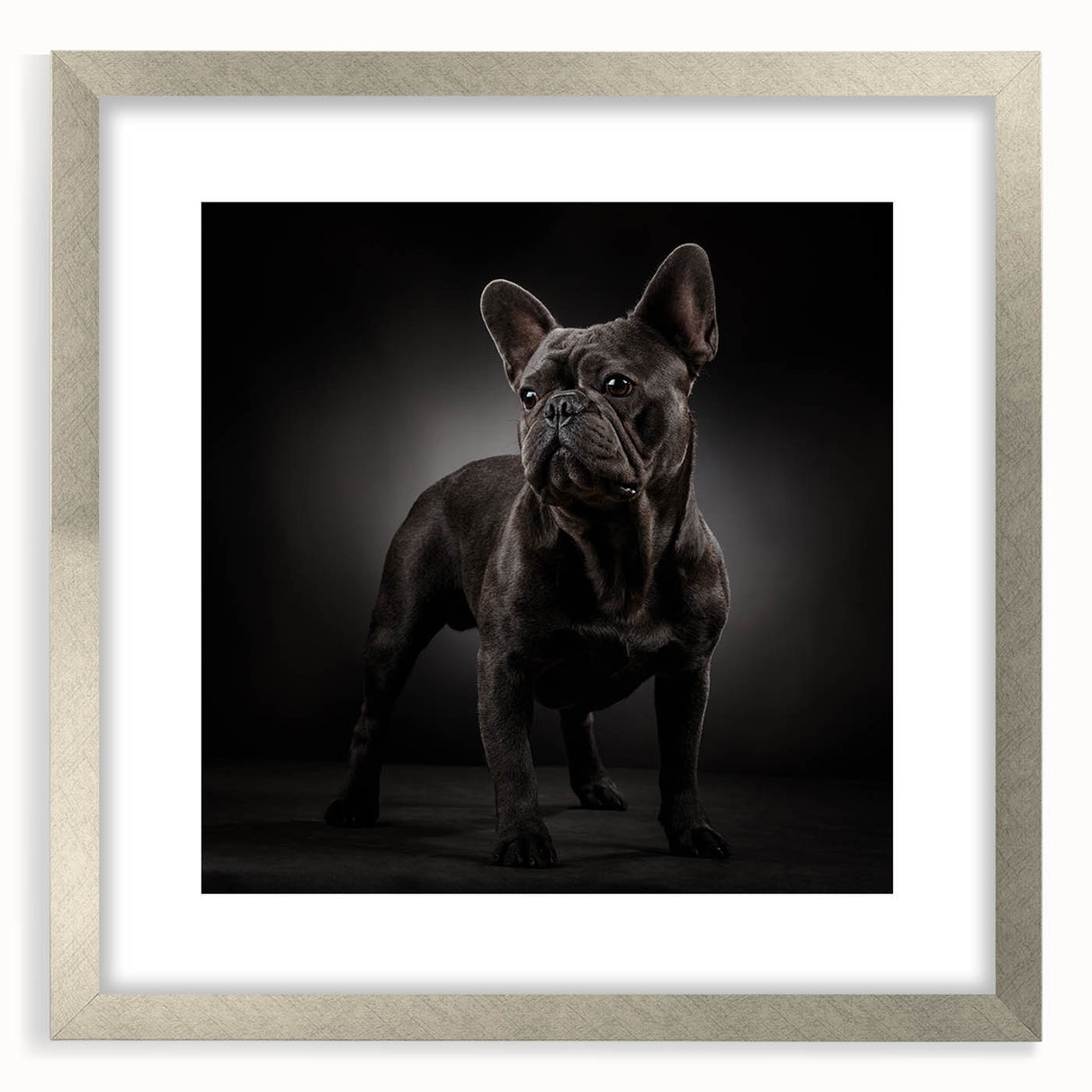 Framed wall art featuring a stylish silver mat showcasing a bulldog design, ideal for pet lovers' home decor. The artwork adds charm and personality to any room.
